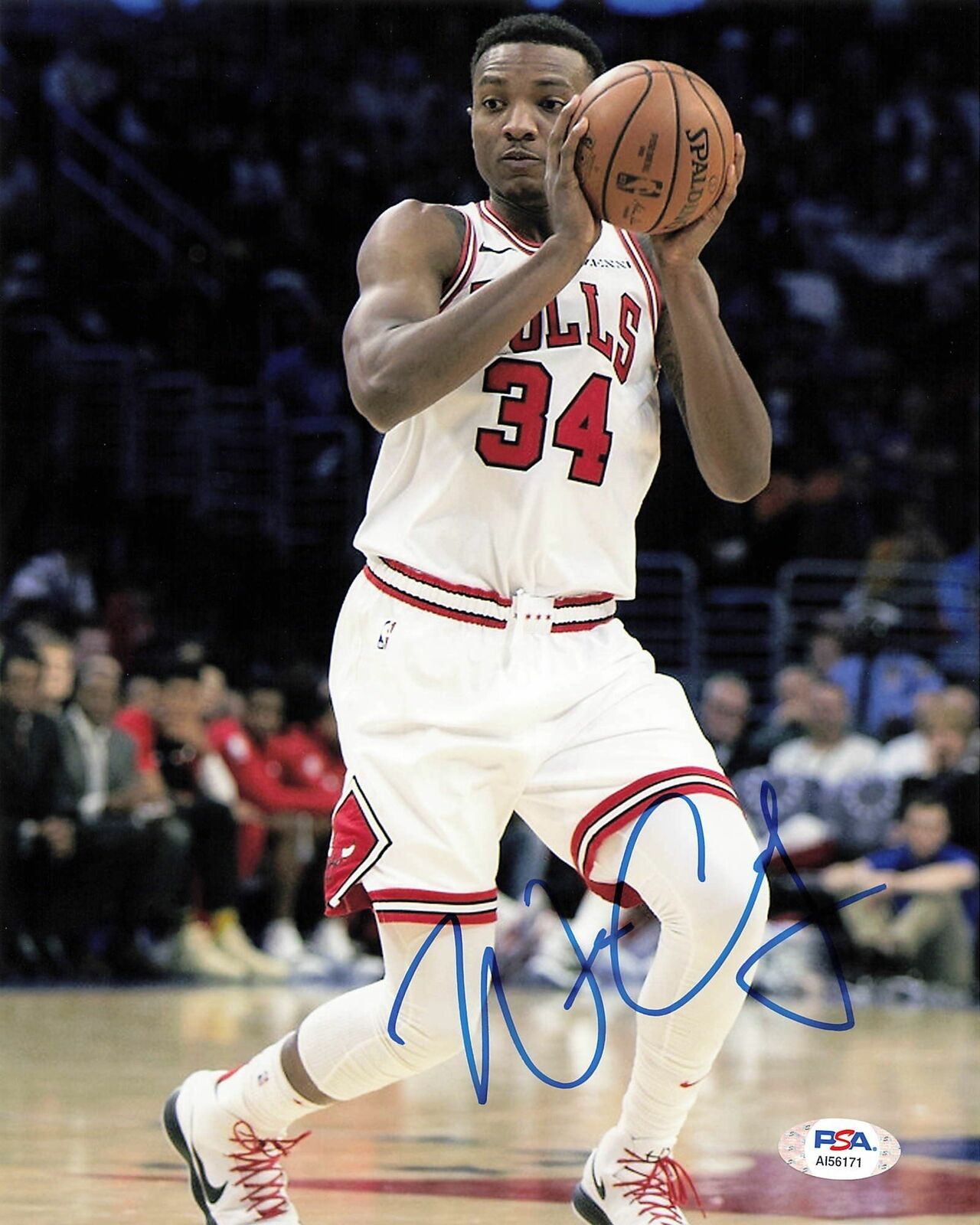 Wendell Carter Jr. signed 8x10 Photo Poster painting PSA/DNA Chicago Bulls