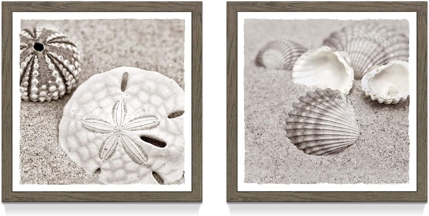 Framed Beach Wall Art Picture: Bathroom Modern Ocean Sea Shell Print Decor 2 Piece Coastal Sand Dollar Seaside Photo Painting Rustic Conch Seascape Artwork for Living Room Bedroom Sea Life Theme 03