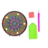 DIY LED Diamond Painting Full Special Shaped Drill Mandala Embroidery Light
