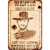 Wanted - Vintage Metal Signs - 20*30cm/30*40cm - Western