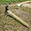 Mini Hoe and Cultivator with Wooden Handle Dual-purpose Hoe Garden Rake Tool