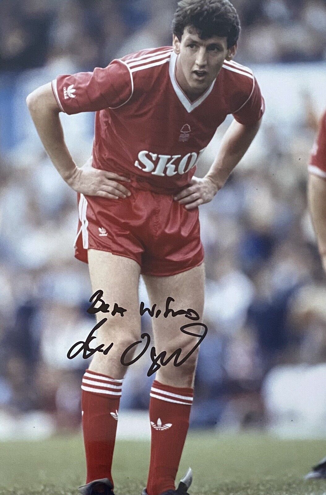 Peter Davenport Genuine Hand Signed Nottingham Forest 12x8 Photo Poster painting 3