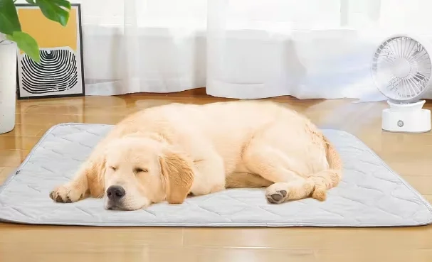 Kühlmatte für Hunde