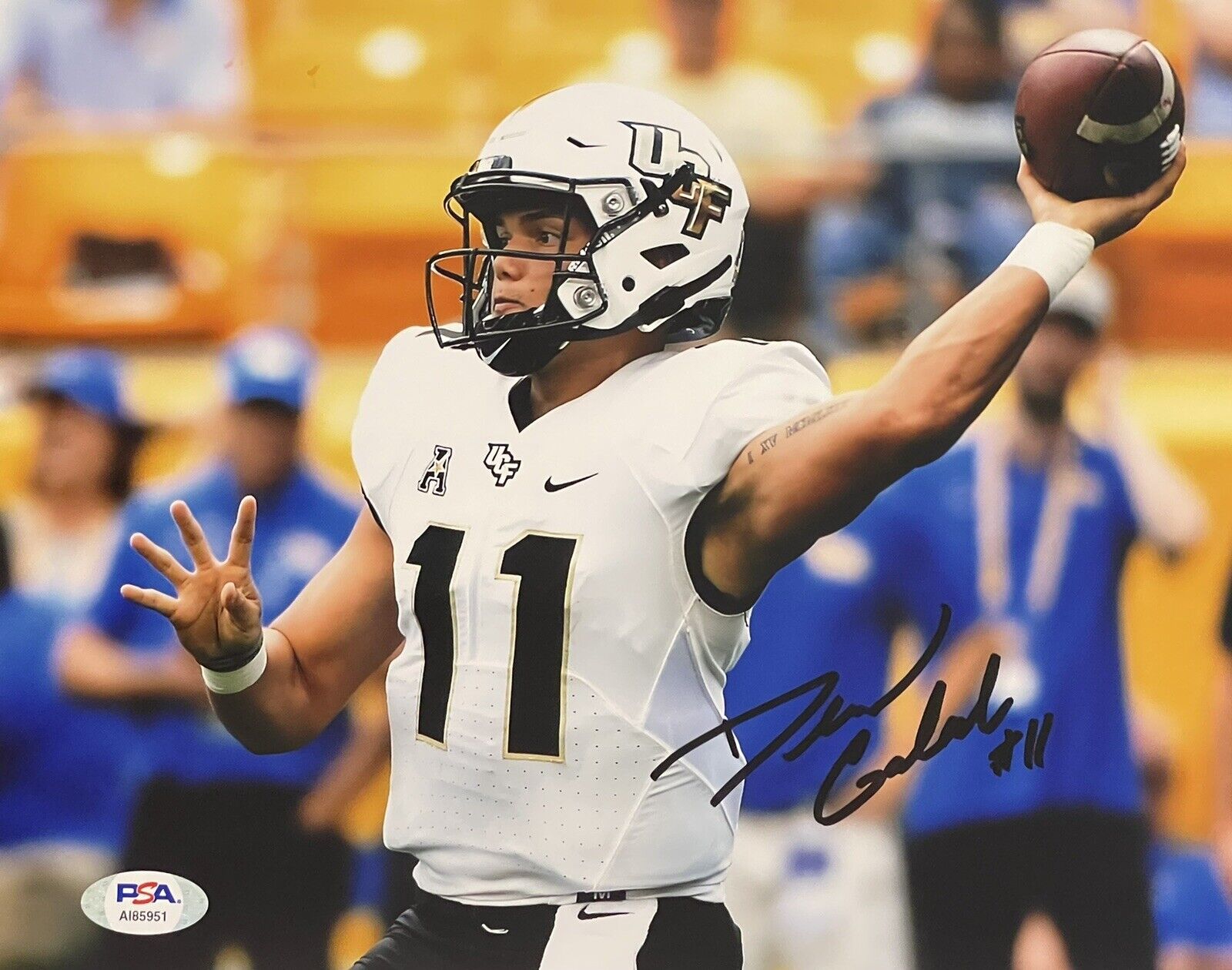 Dillon Gabriel Signed Autographed UCF Knights 8x10 Photo Poster painting PSA/DNA