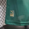 2023/2024 Player Version Palmeiras Home Jersey 1:1 Thai Quality