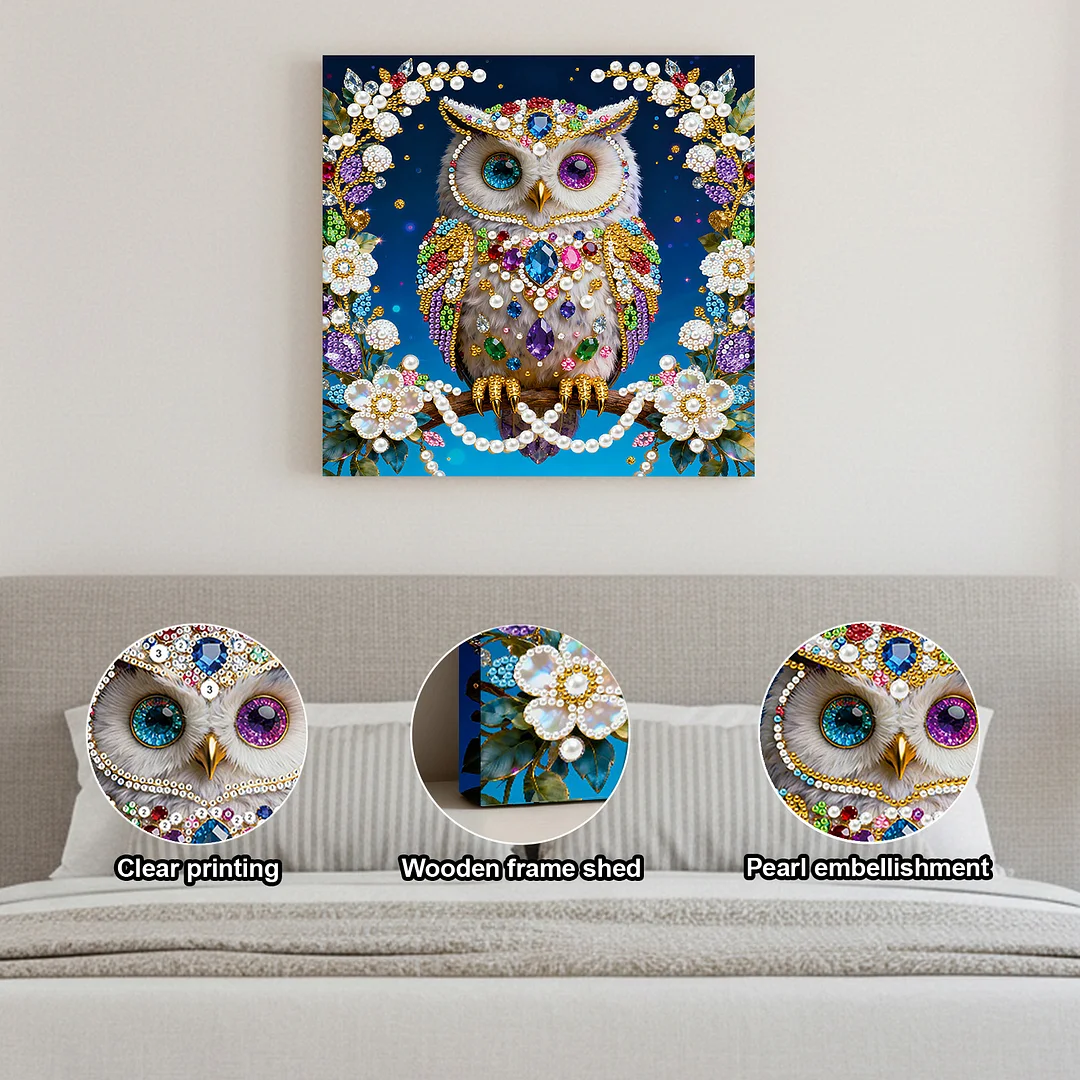 Owl DIY Pearl Art Diamond Painting Kit for Adults Home Decor 25x25cm With Frame