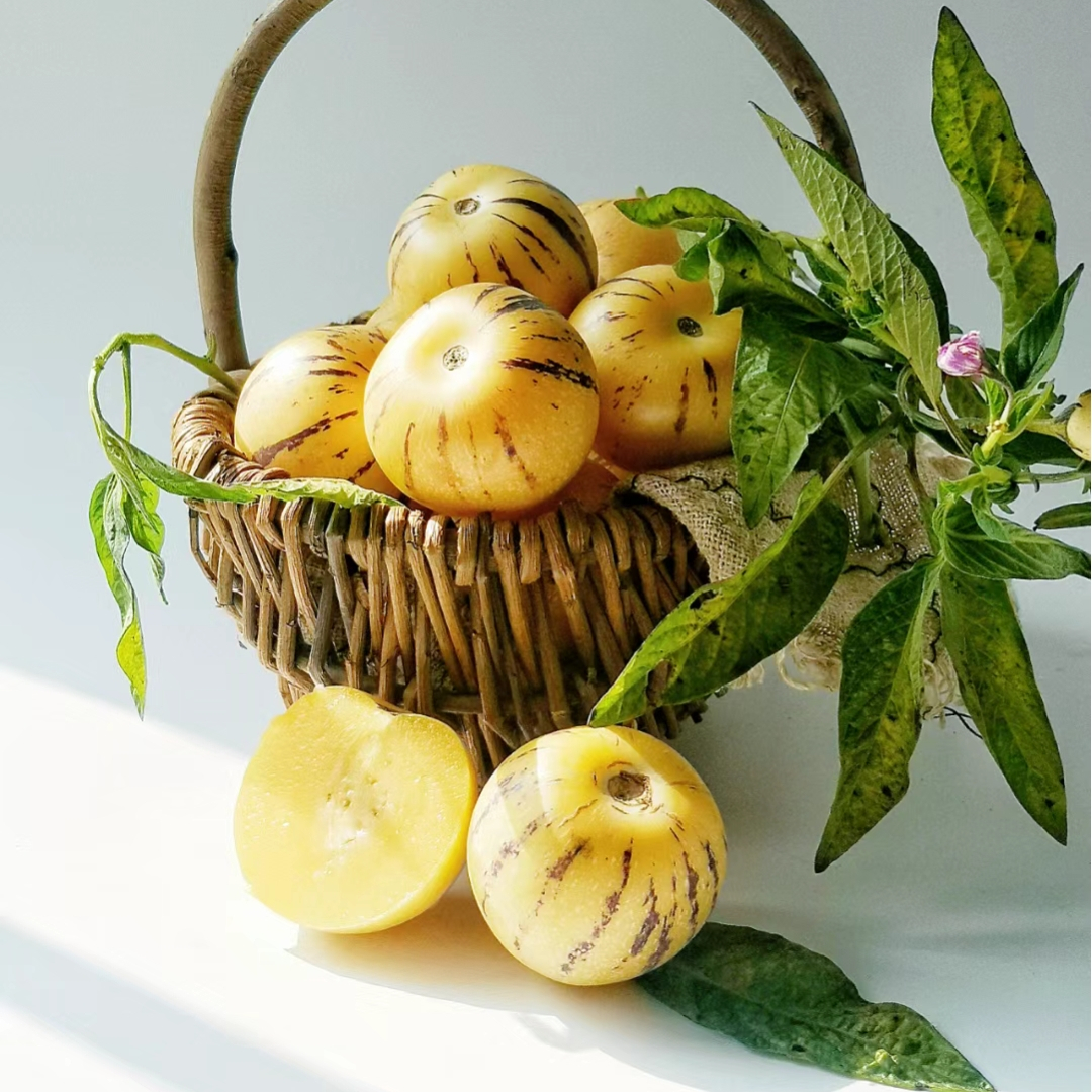 Solanum Muricatum Melon Pear Seeds Jonyparkseed®
