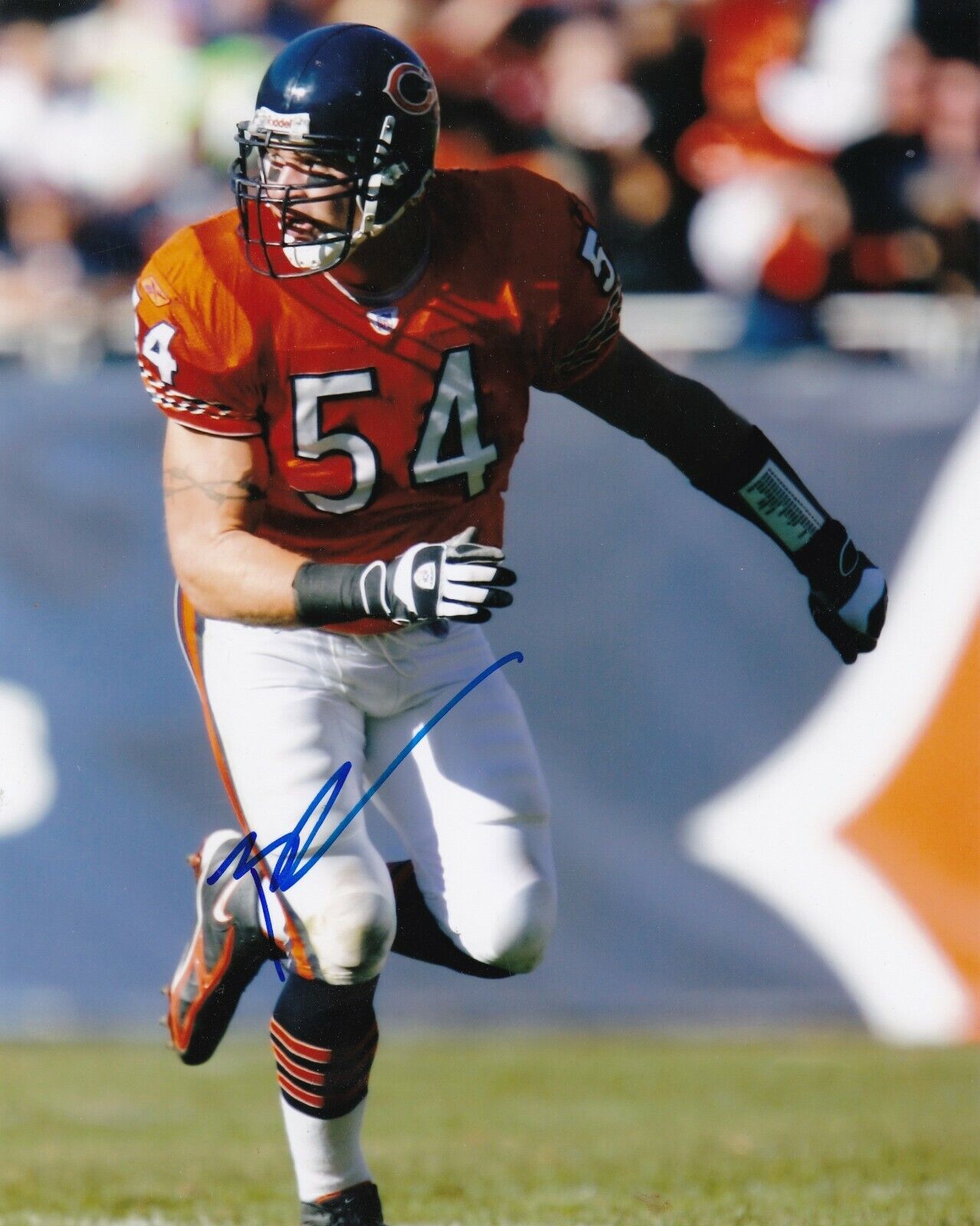 BRIAN URLACHER CHICAGO BEARS ACTION SIGNED 8x10