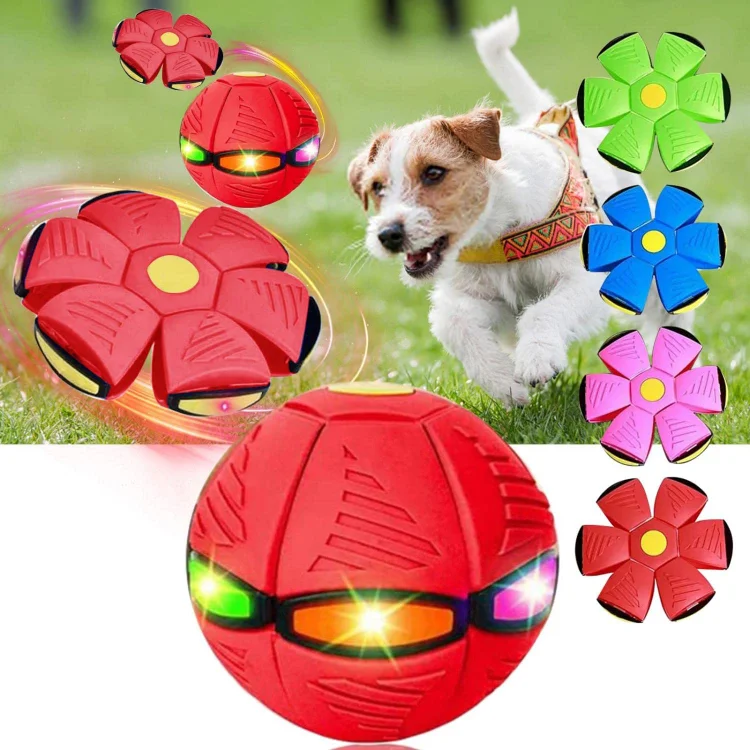 Pet Toy Flying Saucer Ball - tree - Codlins