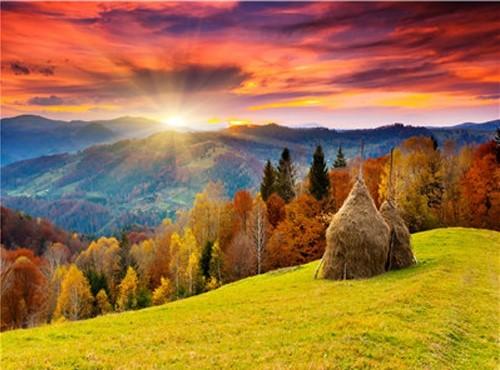 

Sunrise Scenery – Paint By Numbers - 40*50CM, 501 Original