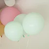 10 Pack | 18" Matte Pastel Mint Helium or Air Latex Party Balloons