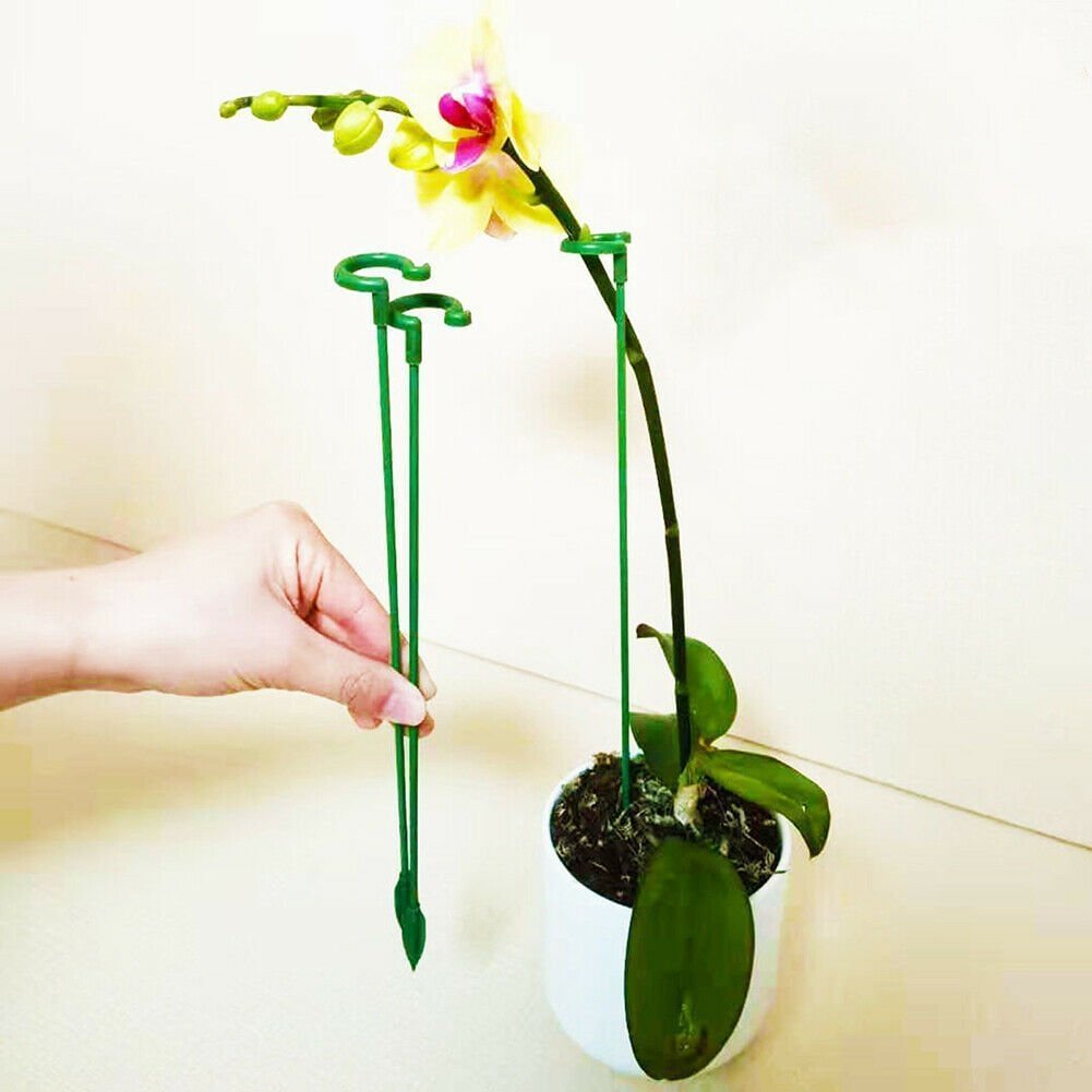🔥Gardening Pormotions 48 % OFF🔥 Plant Support Stake