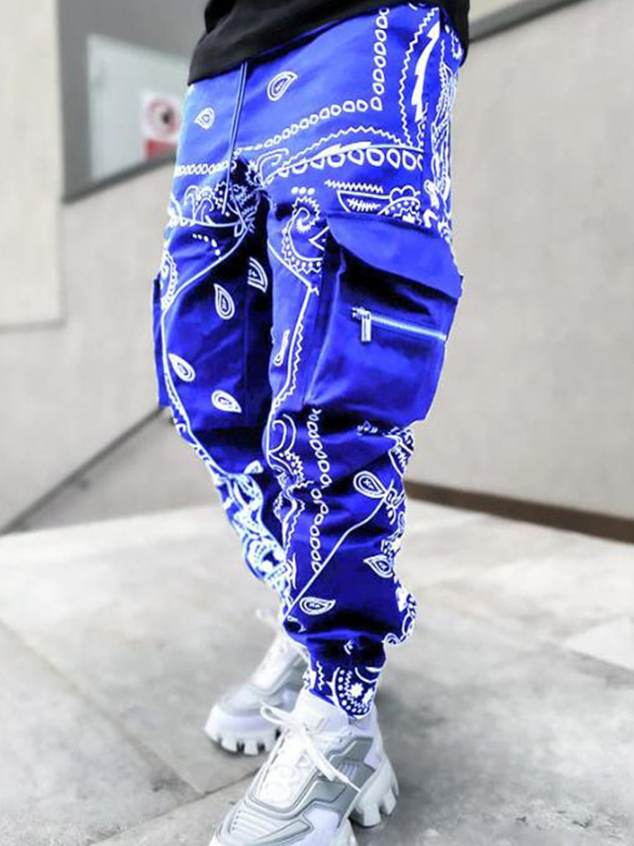 blue paisley pants