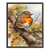 (US Local)Robin-11CT Stamped Cross Stitch Kit(40x50cm)
