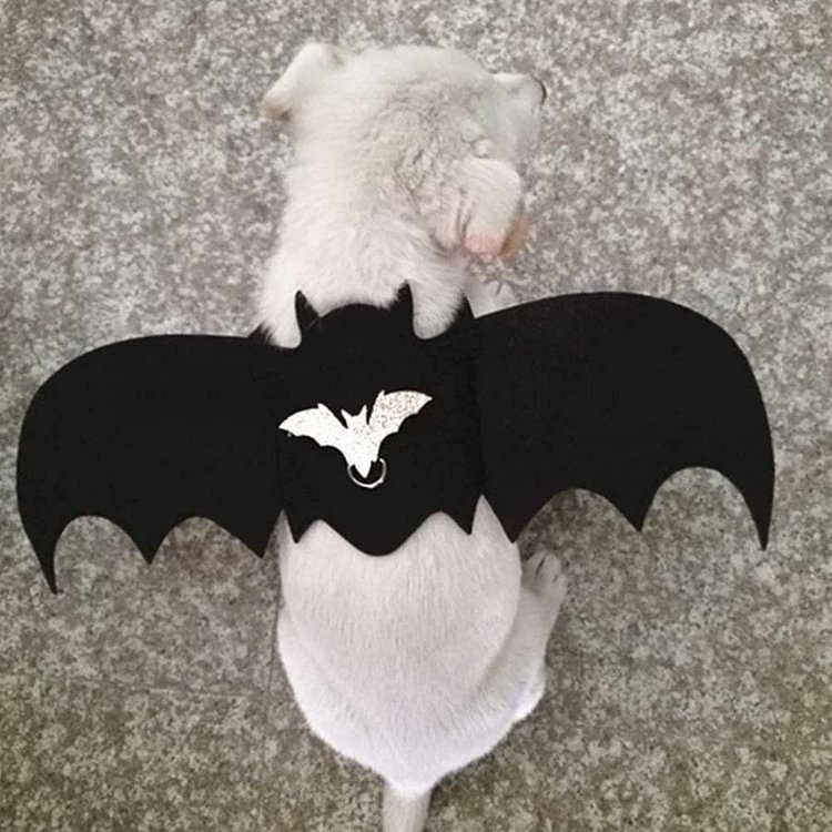 Cute Halloween Bat Wings Pet Harness Vest SP14323