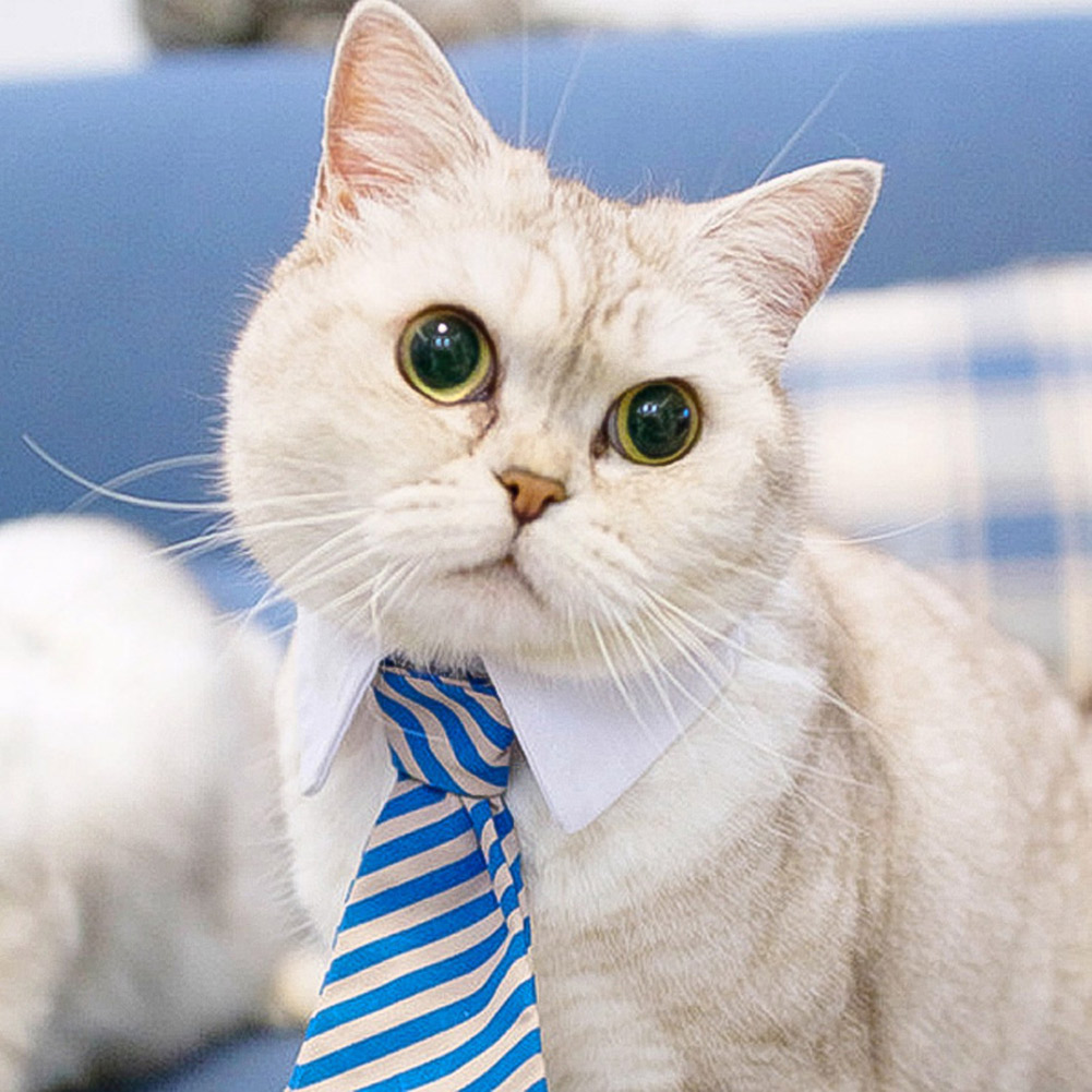 

Pet Cat Dog Stripe Collar Adjustable Cotton Puppy Neck Strap Formal Necktie, 501 Original