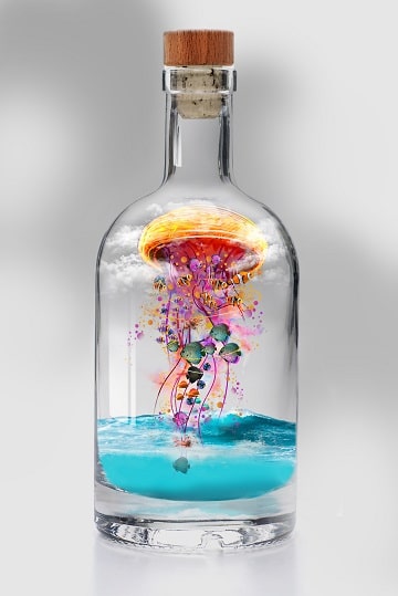 

Jellyfish In Bottle – Paint By Numbers - 40*50CM, 501 Original
