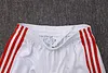 Joyfball 2025/2026 Bayern Munich Half-Pull Training Suit 125-Year Anniversary Football Shirt 1:1 Thai Quality