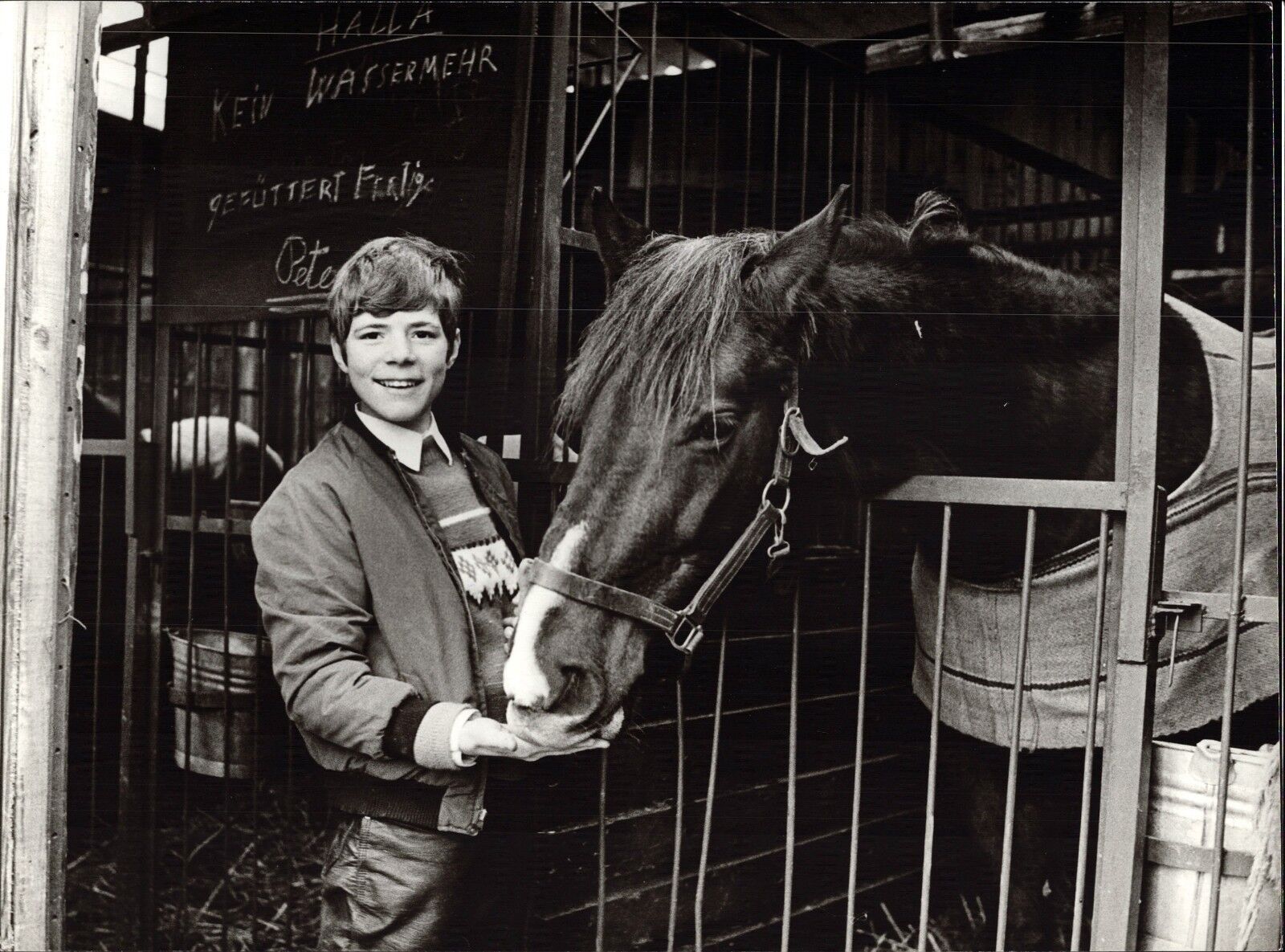 Heintje Avec Cheval - Vintage Photo Poster painting de Presse Photo Poster painting Norbert Unfried (U-3867