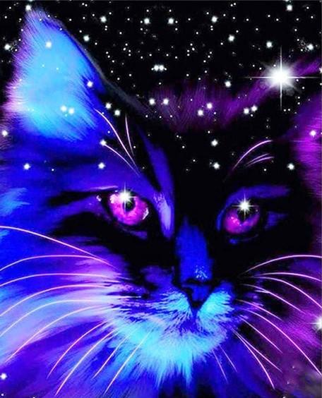 

Cat in Night Sky – Paint By Numbers - 40*50CM, 501 Original