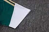 Joyfball 2026/2027 Italy Short sleeve green training Jersey+Shorts