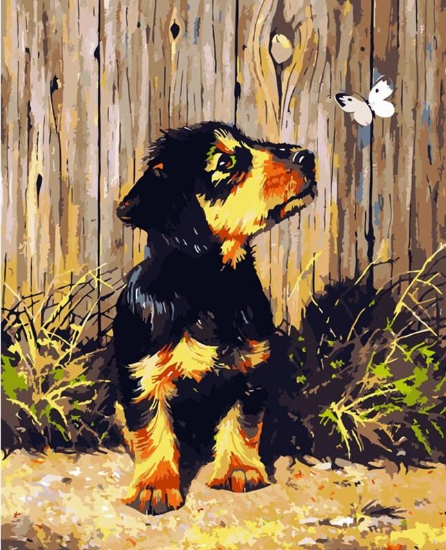 

Dachshund Puppy and Butterfly – Paint By Numbers - 40*50CM, 501 Original