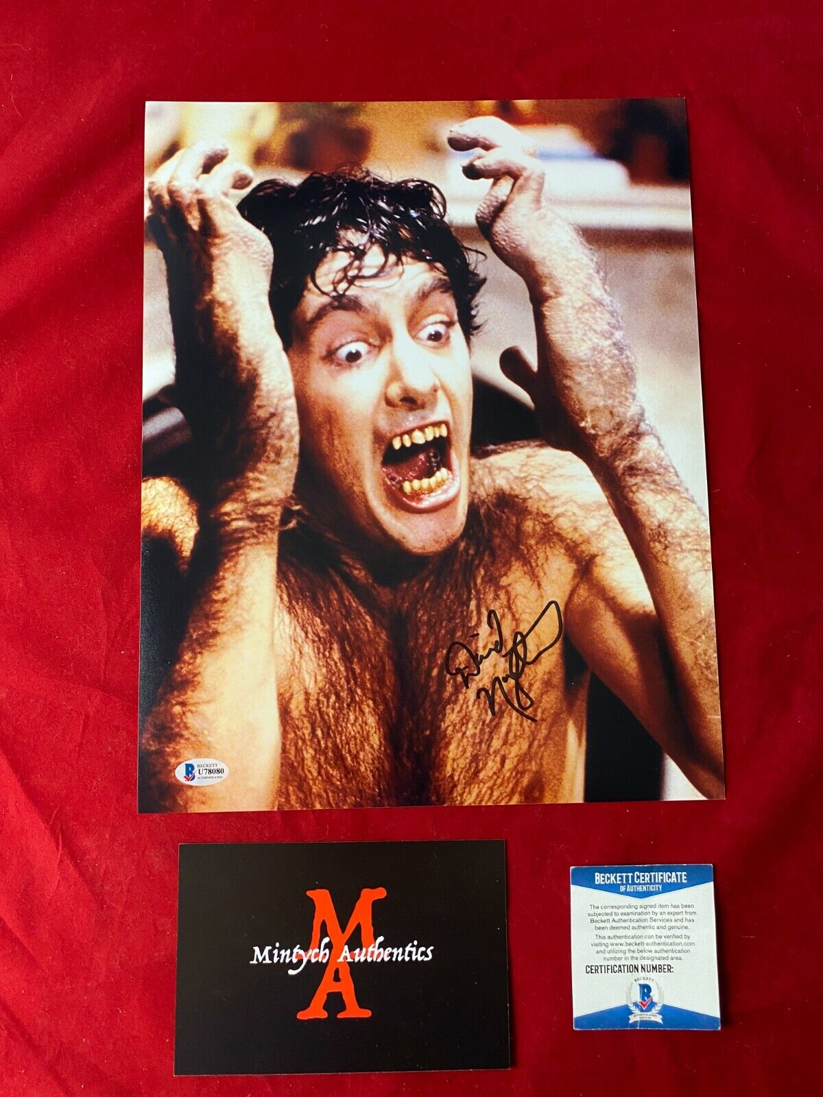 DAVID NAUGHTON AN AMERICAN WEREWOLF IN LONDON SIGNED 11x14 Photo Poster painting! BECKETT COA!