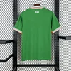 Ireland 2025/2026 Home Shirt