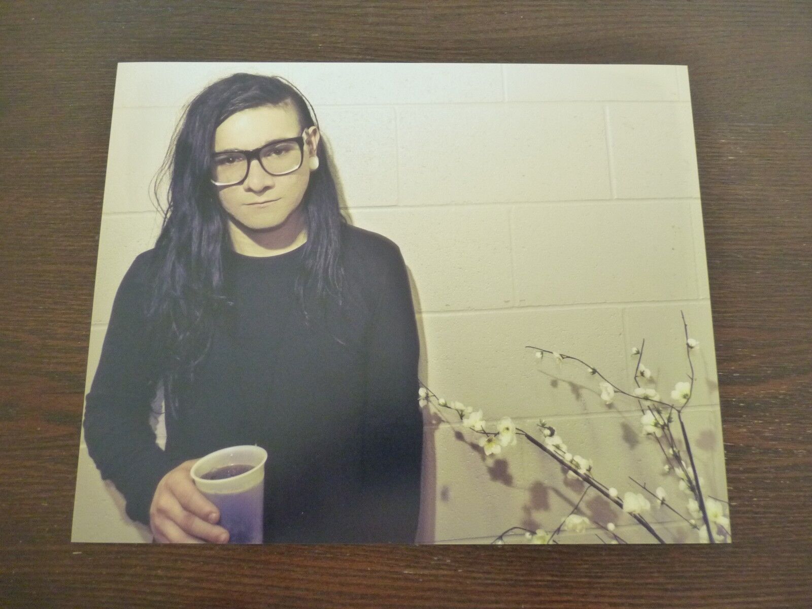 Skrillex DJ Artist Music Color 8x10 Photo Poster painting