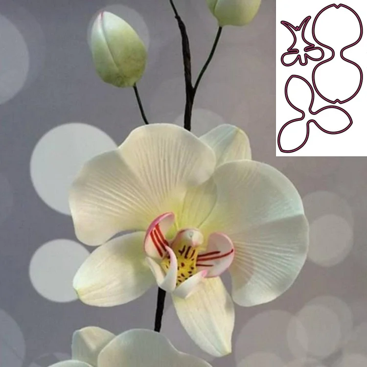 New Bow Flowers Orchids die punching die metal die cutting die scrapbook decorative paper card DIY embossing crafts