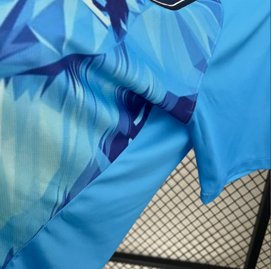 2024 Netherlands Special Edition Football Shirt Thai Quality