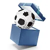 Sports Football Ball Building Kits Creativity Soccer and Cup Building Block Set Mini Collectible Peripheral Bricks Birthday Gift For Teens & Adults (Black and white soccer)