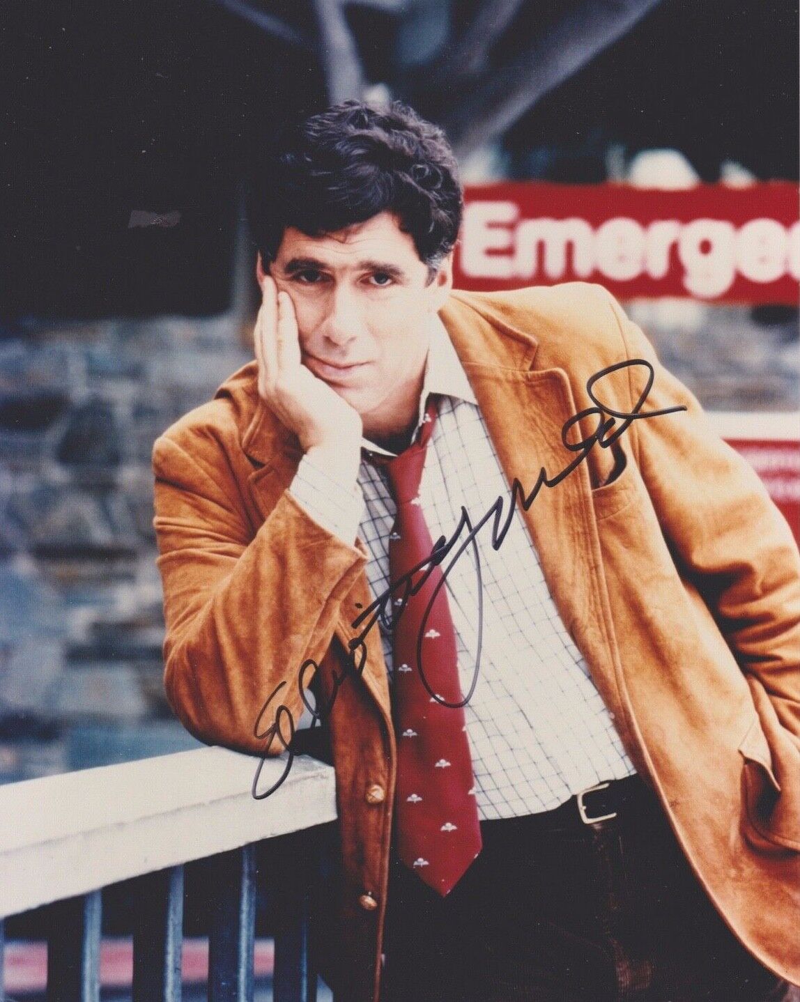 Signed Original Color Photo Poster painting of Elliott Gould