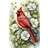 (40*60cm)Cardinal - Full Round Drill Diamond Painting