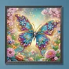DIY Partial Special Shaped Drill Diamond Painting-Butterfly