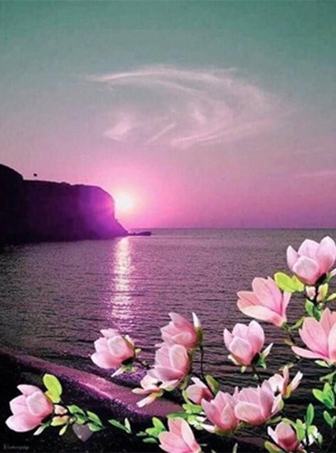 

A Violet Sunset – Paint By Numbers - 40*50CM, 501 Original