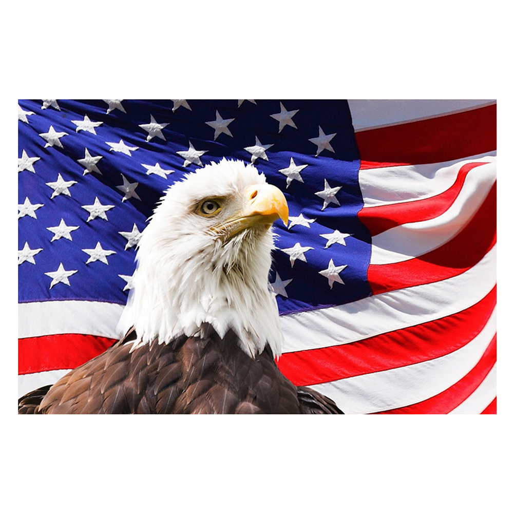 

Eagle - 11CT Stamped Cross Stitch - 46*36CM, 501 Original