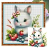 Cute Rabbit-18CT Stamped Cross Stitch 20*20cm/7.87*7.87in