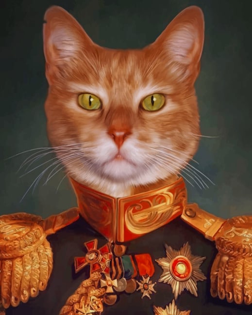 

Mr Cat – Paint By Numbers - 40*50CM, 501 Original