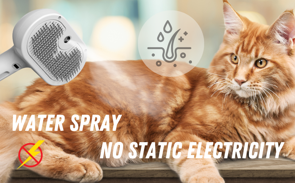 wet cat brush