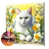 Framed Diamond Painting - Full Round Drill - White Cat (25x25cm)