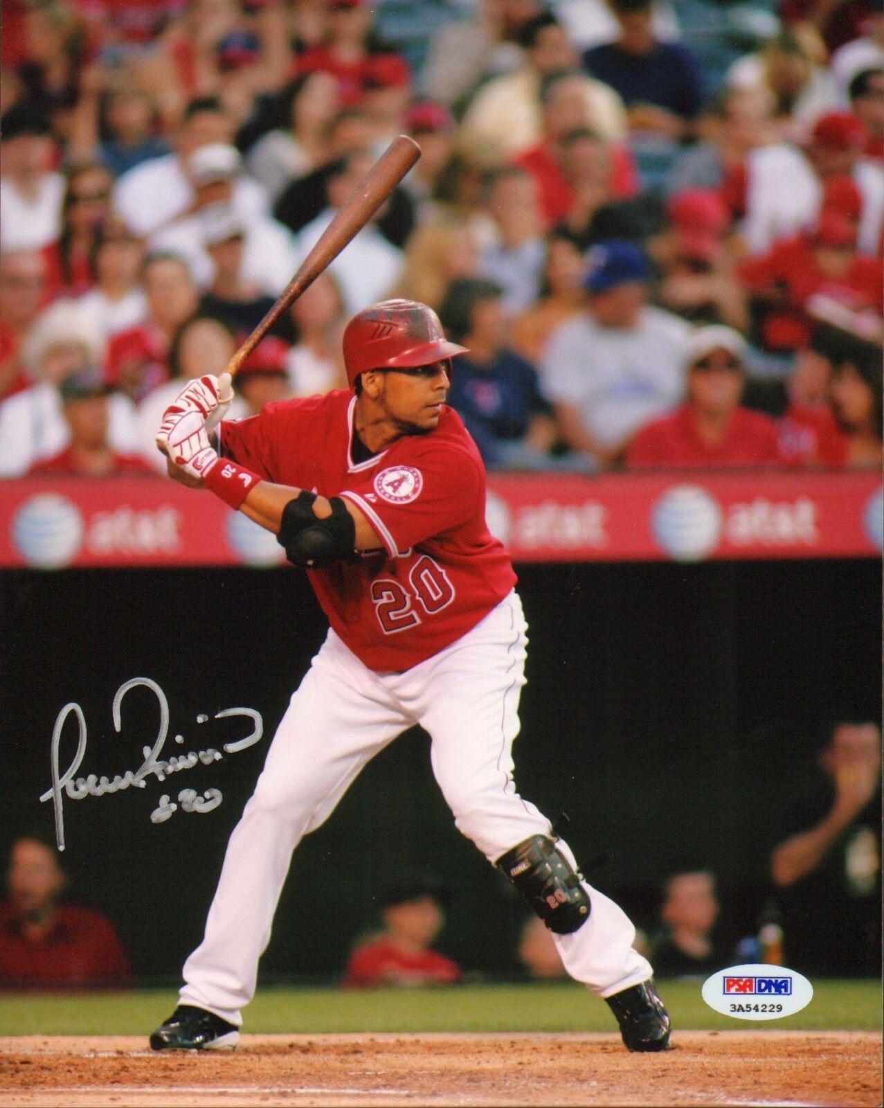 Juan Rivera Signed Anaheim Angels 8x10 Photo Poster painting PSA/DNA COA Autograph Picture WBC