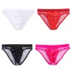 Men's Sexy Low Rise Mesh Bikini Briefs