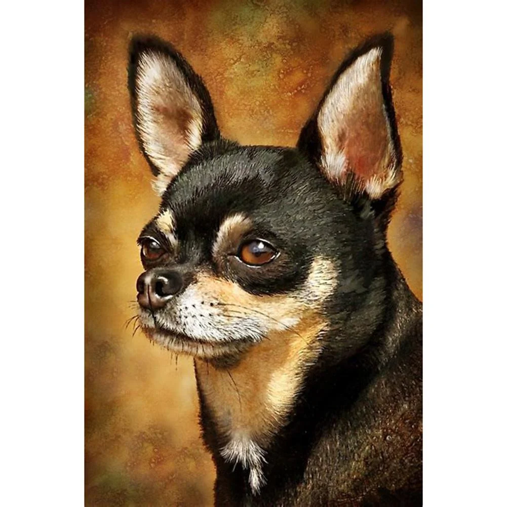 Full Round Diamond Painting Chihuahua Dog (40*30cm)