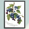 >SALE<Embroidery Eco-cotton Thread 14CT Printed Fruit Cross Stitch Kit Artwork 22x32cm