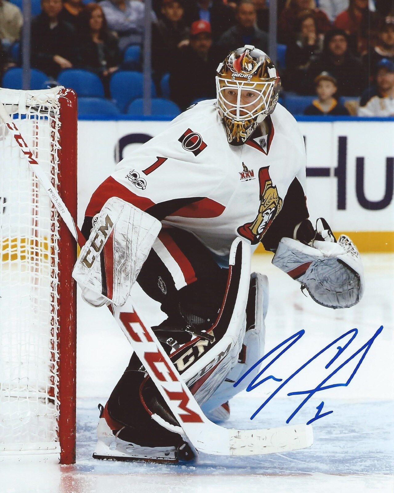 Mike Condon Signed 8x10 Photo Poster painting Ottawa Senators Autographed COA B