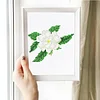 12pcs Flowers 5D DIY Square Drill Diamond Painting Kits for Adults Beginners Home Decor Diamonds Paintings Gem Art 5.91x7.09in