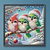 Diamond Painting - Partial Special Shaped Drill - Winter Bird(Canvas|30*30cm)