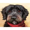 Painting By Numbers-Dog(50*40CM)