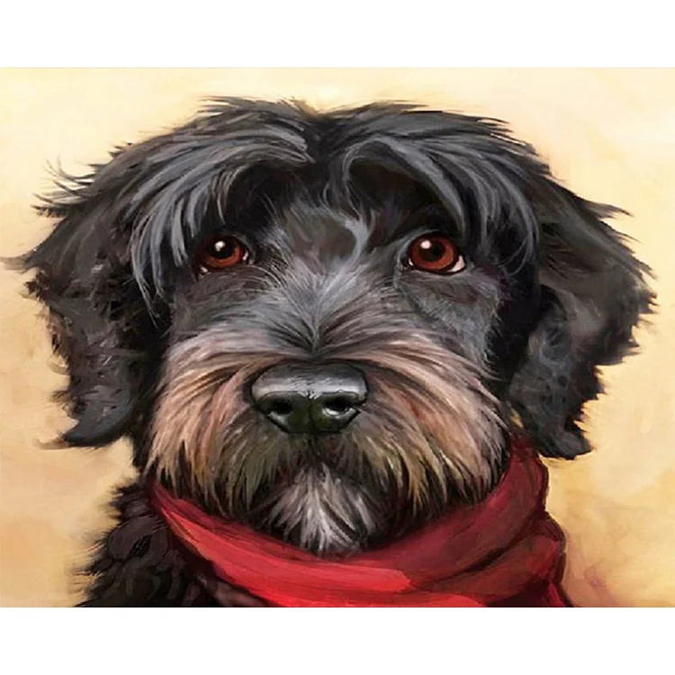 Little Black Dog - Painting By Numbers - 50*40CM gbfke